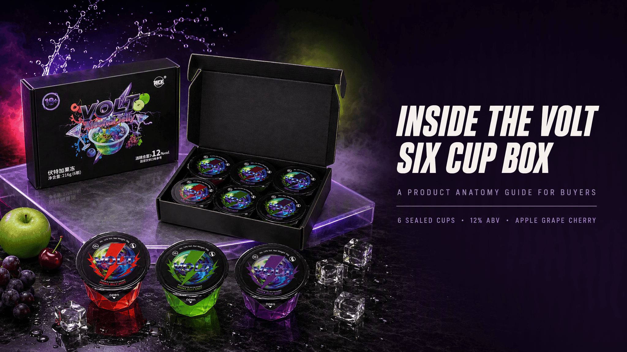 Inside the VOLT Six Cup Box A Product Anatomy Guide for Buyers